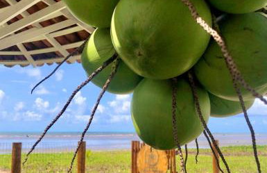 Condomínio Praias de Maragogi & Casas Deluxe - Photo 60