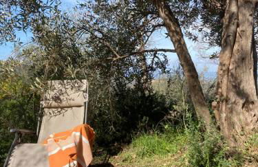 il peperino - Foto 20