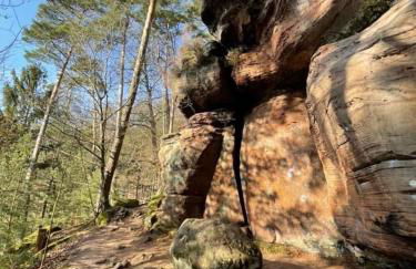Ferienwohung am Felsenwanderweg im Pfälzerwald - Foto 16