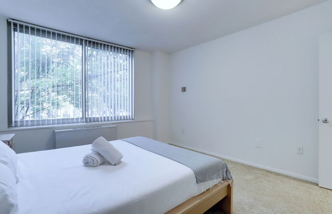 Apt Near Airport in Crystal City - Photo 11