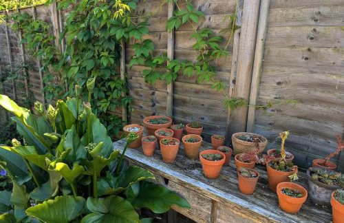 Artist's Hawkhurst Home with Heated Pool & Sauna - Foto 11