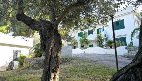 Residence Dolce Far Niente - Foto 5, Garden