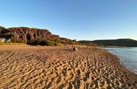Casa al mare con giardino "Garden House", 2 km spiaggia golfo di Baratti & parco archeologico - Foto 2
