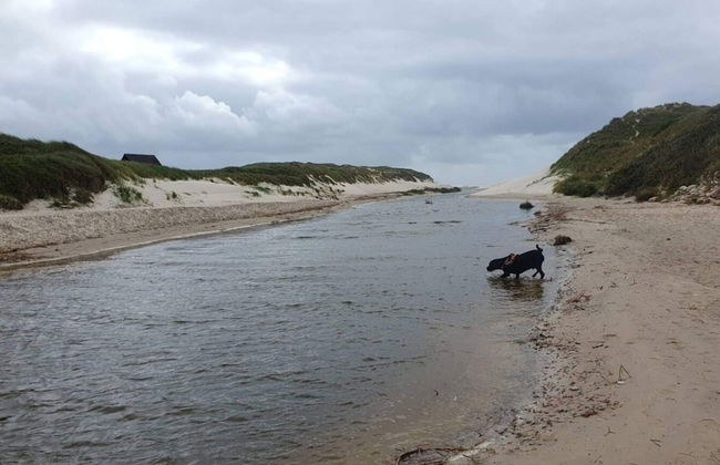 Holiday Home in Henne - Foto 40