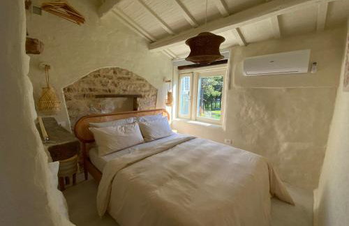 Monte Pino - Photo 9