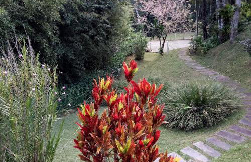 JARDIM REAL - Chalés para casais - Foto 54