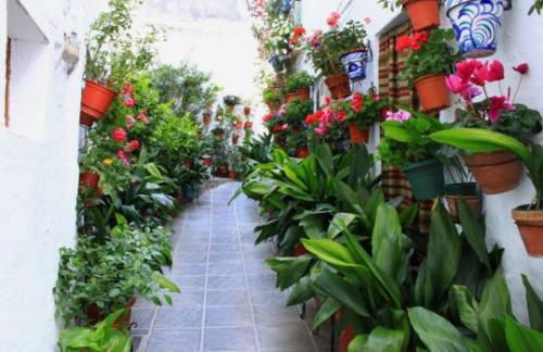 La Casa de la Plaza - Foto 54