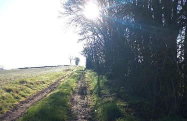 Les hirondelles - Foto 37