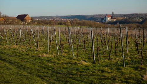 Quartier Rottewitz - Foto 3