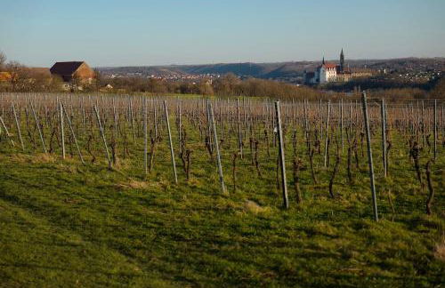 Quartier Rottewitz - Foto 3