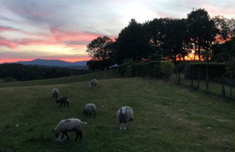 Hawkrigg Farm - Foto 32