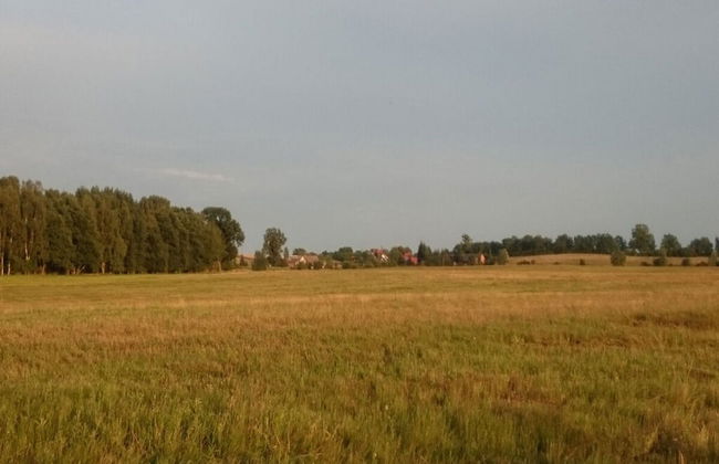 Holiday Home Landlust - Photo 23