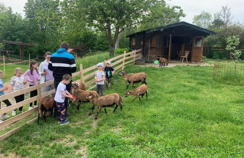 Ferienhaus Spielburg - Foto 79