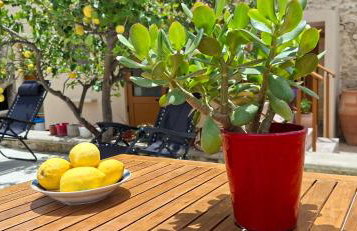 Emvassis Art Nil - Foto 13