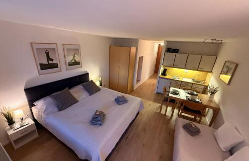 FeWo Pool, Sauna, Wellness, Gartenterrasse ENGELMEER - Foto 6