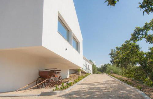 Quinta de Trancoso - Foto 1