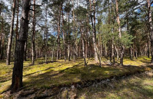 Heban Forest Cabin&SAUNA Starlink - Foto 7