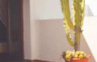 Casa Marlene - Foto 20