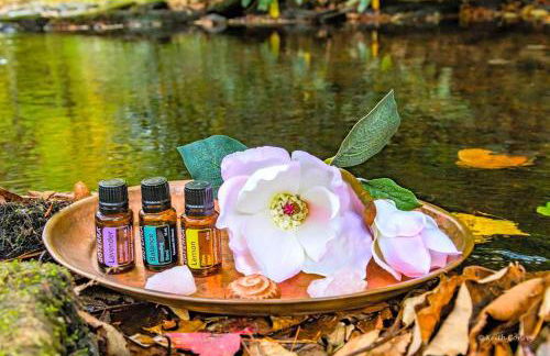 Traditional Wooden Cabin Rental in the Poconos, Pennsylvania - Foto 17