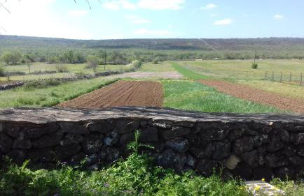 Family friendly holiday home "Ana" with heated pool - Foto 38