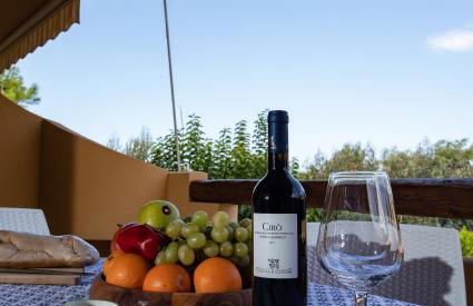 Residence Hotel Riviera Calabra - Foto 97