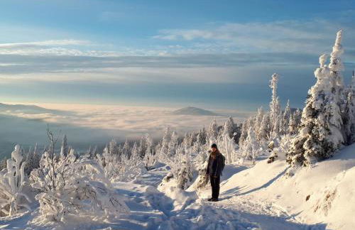 Haus Kuchler - Foto 15