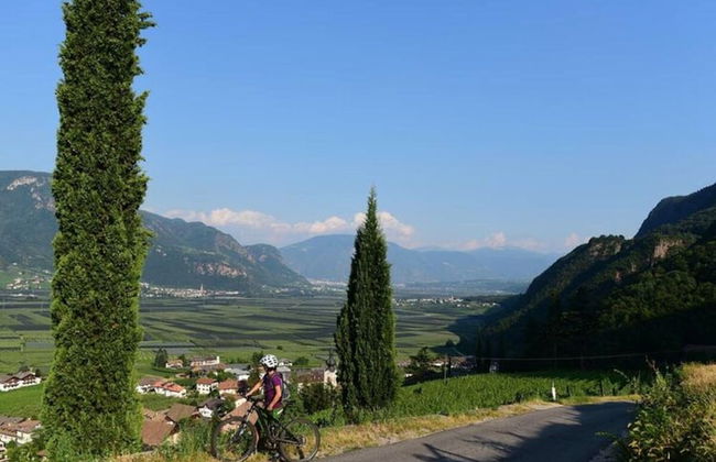 Holiday Apartment Krosshof - Photo 12