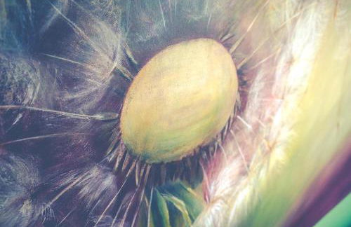 SPO Beach House am Strand Appartement SPO Beach House No 3 - Foto 5