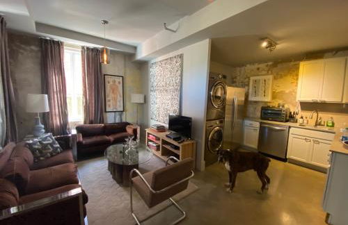 New Orleans Premier Rentals - Foto 28