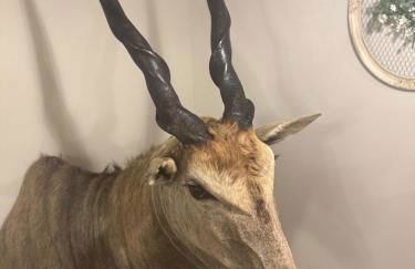 5 BR 4 Bath Dutch Cottage 3 ml from Buffalo Trace - Foto 14