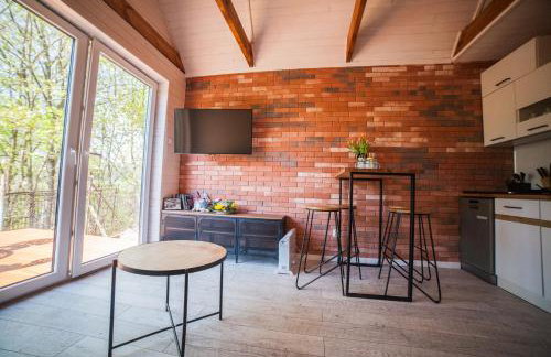 Lawendowo- sauna, jacuzzi, domki w ogrodzie i apartamenty w kamienicy - Photo 53