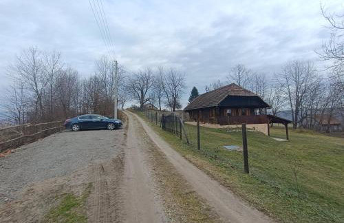 Šumski san - Foto 45