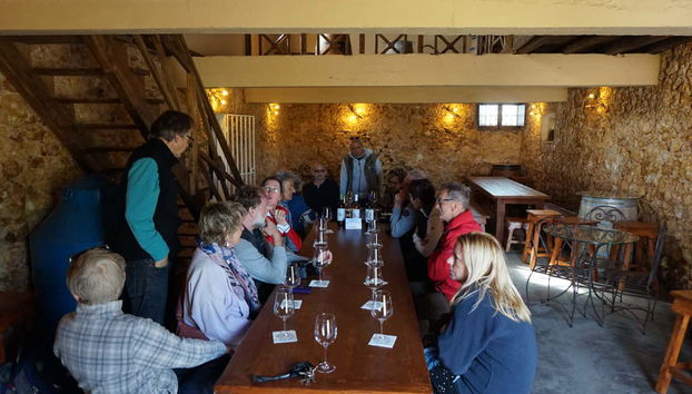 Disfrutando de una cata de vinos