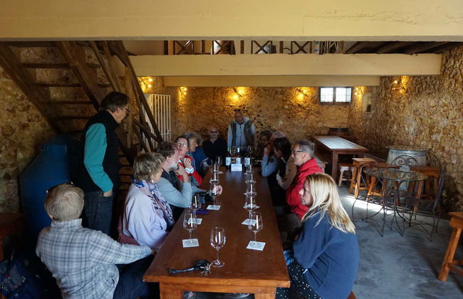 Tour por Carvoeiro, Benagil y Ferragudo + Cata de vinos - Foto 3