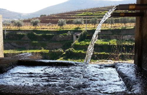 O Ze Ja Dormiu Aqui - Foto 55