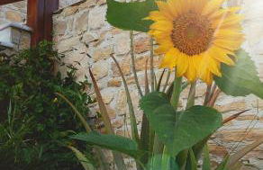 Sky Beach Hotel - Foto 12