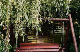 Domek Letniskowy na Wyłączność - Łaszka - Foto 17