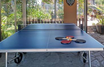 Finca Vistas al Teide con jacuzzi, wifi y TV satélite - Foto 27