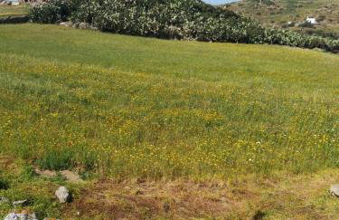 Akakia Residence - Foto 41