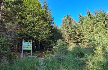 Haus Kellerwald - Ferienwohnung Kellerwald-Edersee - Foto 31