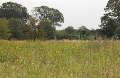 Haus Holli Zarrentin am Schaalsee - Foto 41