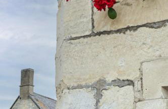 Bright & Beautiful Open Plan Coach House Painswick - Foto 55