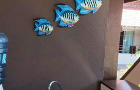 Enseadas dos corais - Foto 5