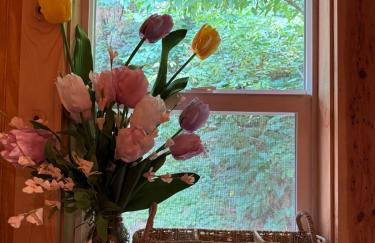 Enchanted Hollow- Cozy, Romantic Woodland Getaway - Photo 74