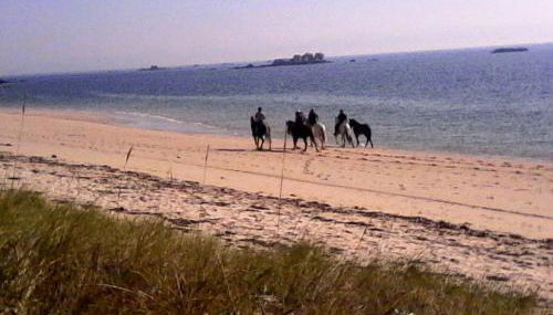 Tranquilidad y mar - Foto 3