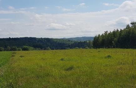 Wichrowe Wzgórze - Foto 24