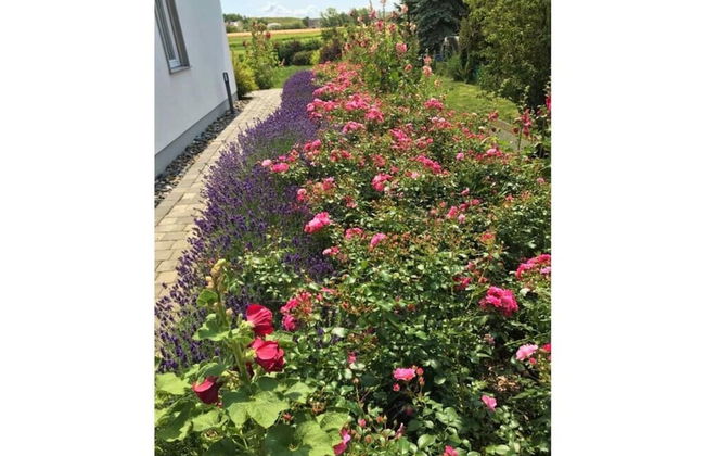 Feuerstein House Monchgut - Foto 18