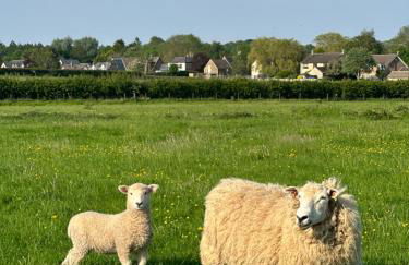 Barn conversion in one of Stamford villages - Foto 8