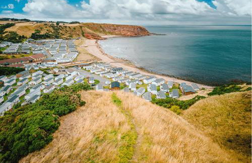 Pease Bay Essential Clover Caravan 1 - Foto 11