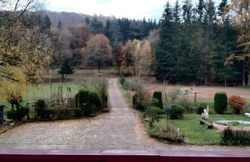 Gîte de la vallée, En Pleine Forêt - Foto 12